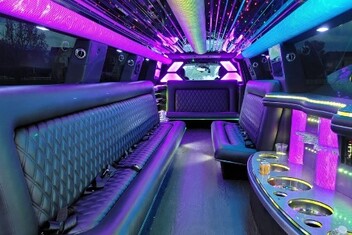 Ann Arbor Limo Interior